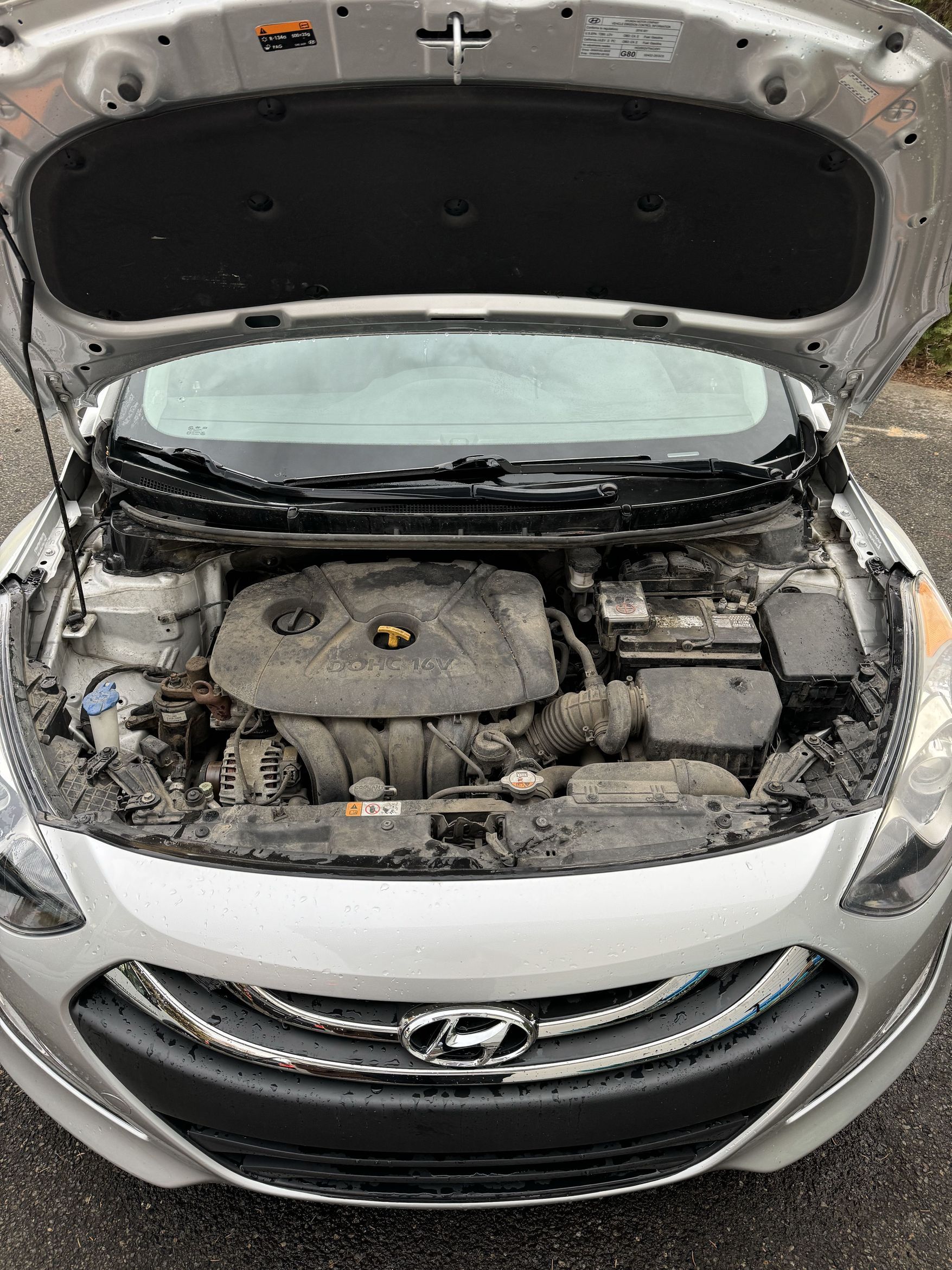 Engine bay before professional detailing and ceramic protection